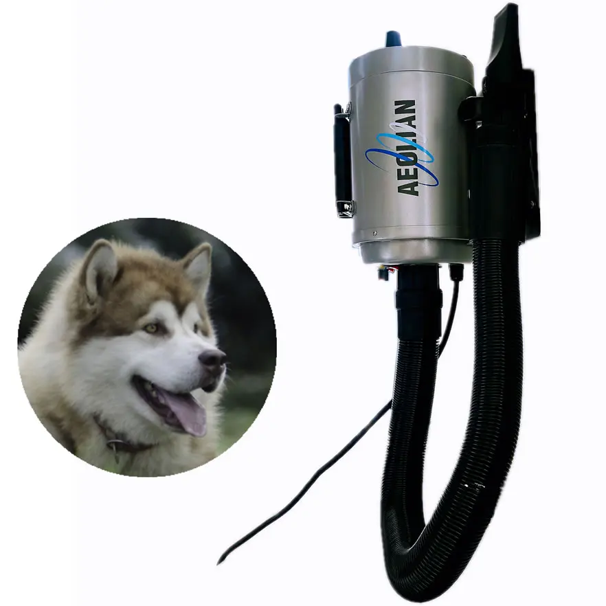 TD-901GT Wall-Hanging Professional High Blow Force Dryer