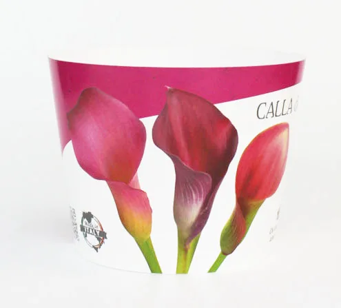 China factory wholesale new desgin PP decorative flower pot covers