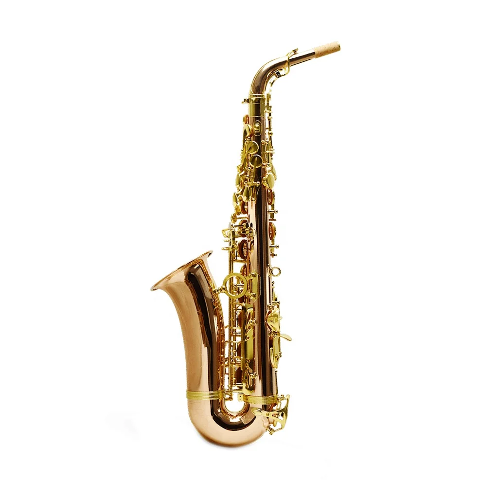SEASOUND OEM Professional Phosphorus Copper Alto Saxophone JYAS102PC