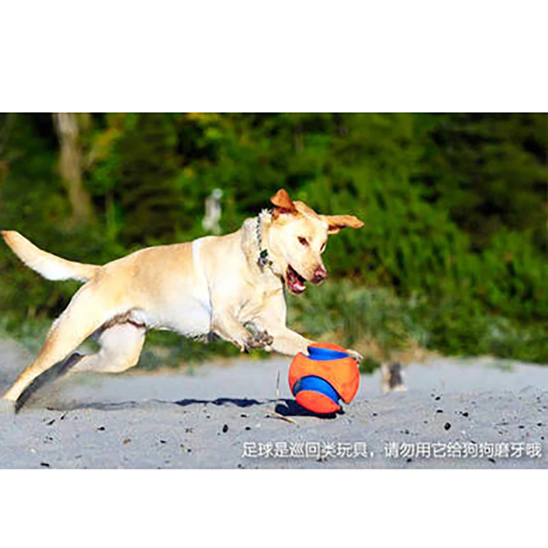 New Design Instock Outdoor Odorless Not Bad Clean Teeth Etpu Pet Ball