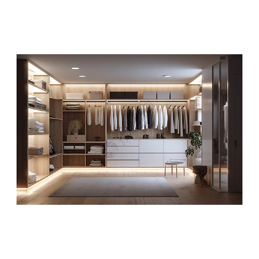 Aace Простой дешевый и экономичный wardrope для спален