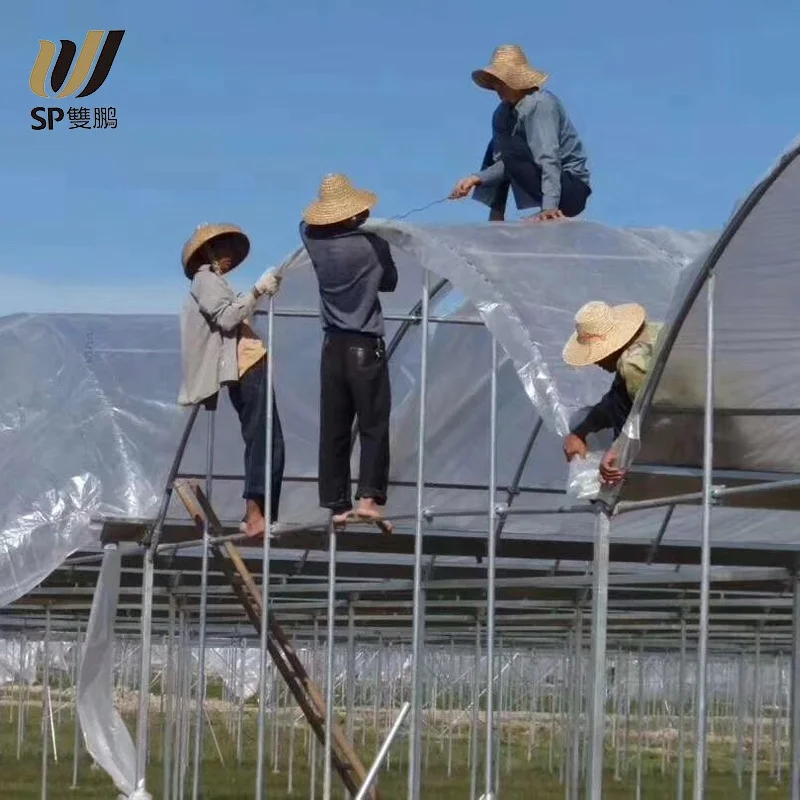 SP все спецификации напечатанный логотип открытый PE PP Водонепроницаемый брезент большой емкости для крышки