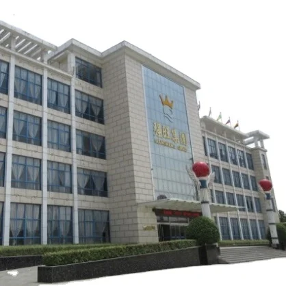 10g/sachet tom yum bouillon powder