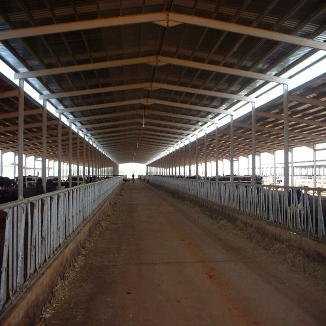 Steel Structure Cow Shed Structural Steel H Beam for Sheds Prefabricated Warehouse Cow Sheep Pig