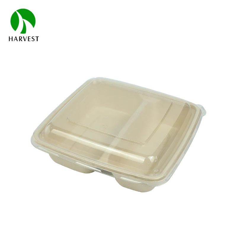 Bagasse 8x8 inch 2 Compartment Sugarcane Pulp Fiber Food Packaging Lunch Box Container With Lid