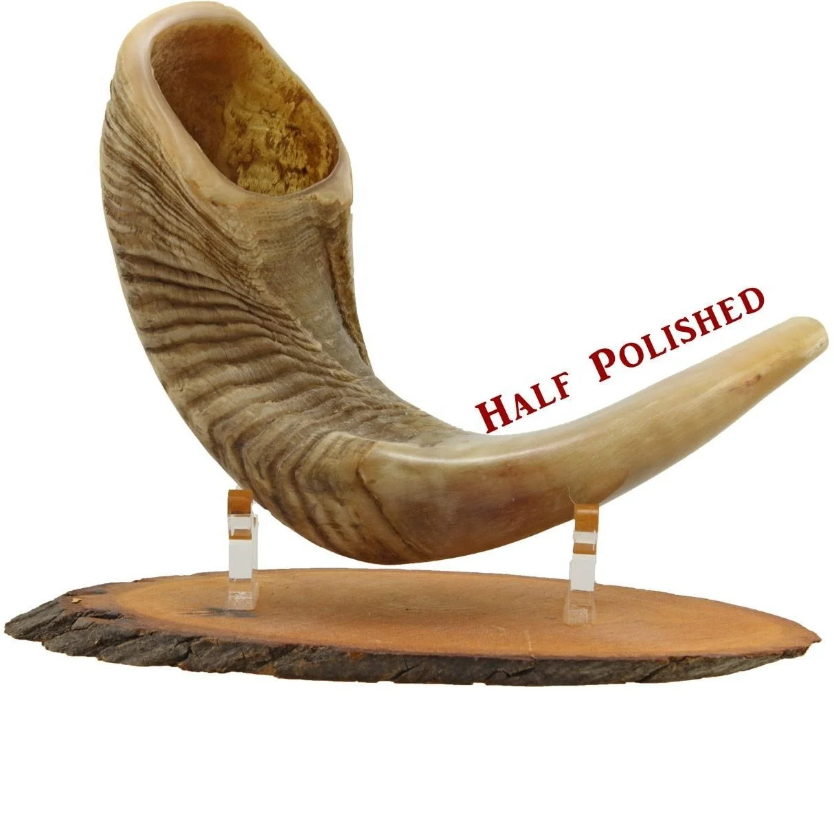 Rams Horn Shofar различные размеры от 12 до 18 дюймов ручная отделка; 34648 полированный 50 шт. CI2014 выдувание