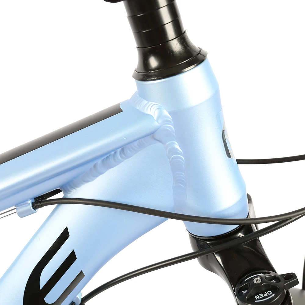 
OEM bike bicicletas mountain bike 29
