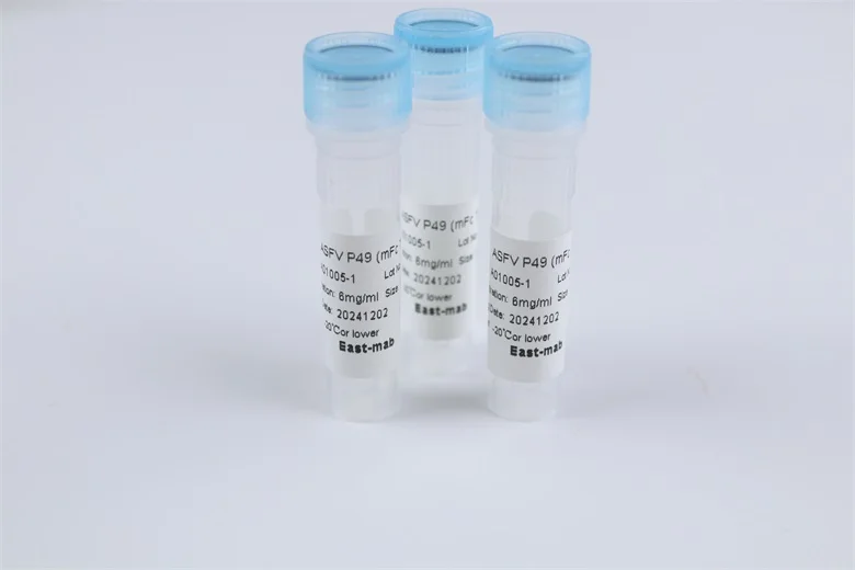 Promotional Specials Applied To Biological Expression Powder DENV2 NS1
