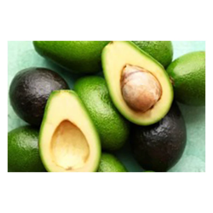 Wholesale Healthy Premium Avocado from Mexico Fresh from MX - High Quality Best Price Directly from Producers