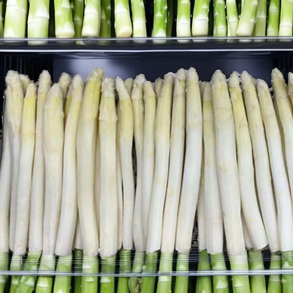 IQF frozen white asparagus