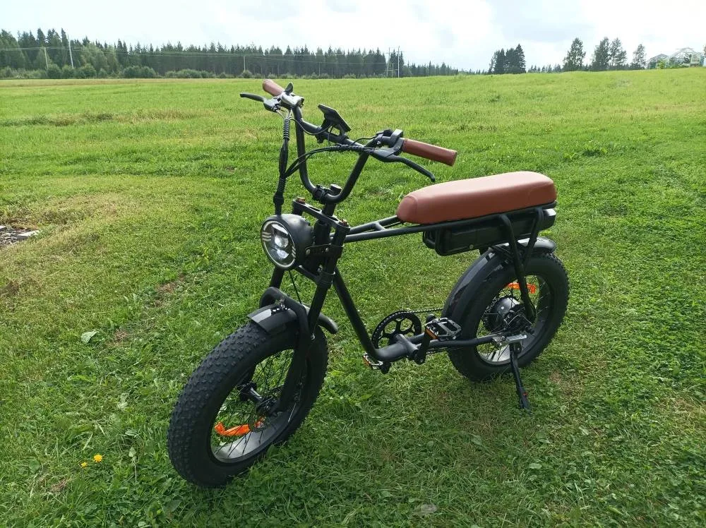 EU NL Stock 48V Electric Fatbike 20inch 250W Netherlands Fietsen Fat Tire Electric City Bike 1000W Road E-Bike Holland Fietsen