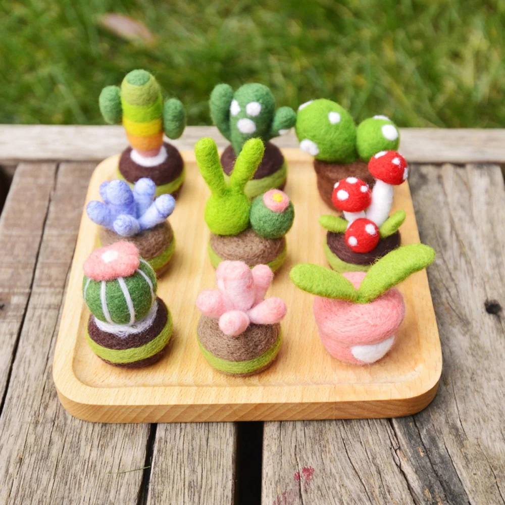 Custom Succulent Plants Needle Felting Beginner Kit DIY Felt Crafts Manufacturer Factory Private Label Logo OEM ODM Service