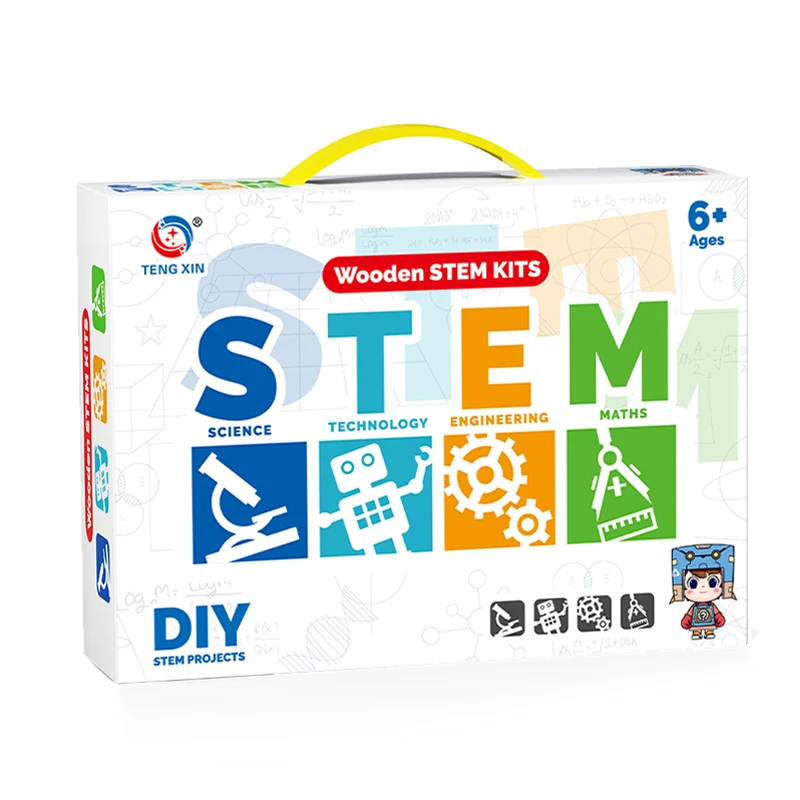 10 in 1 Physical Mechanics Science Experiment Kit Wooden Educational Teaching Tools Stem Learning Kit for Primary School