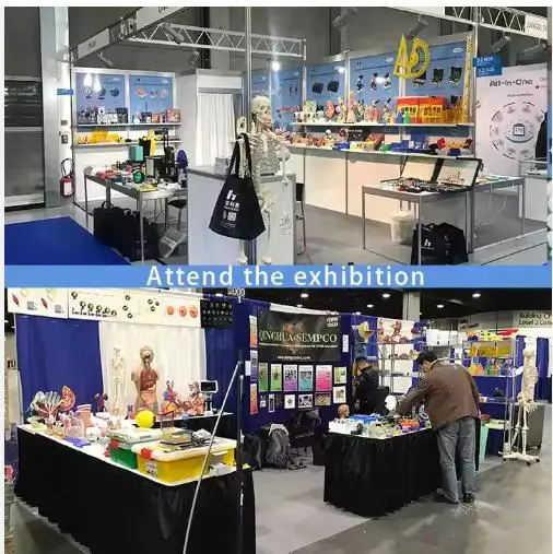 Физический металлический шлицевой вес для всего веса 250 г лабораторное оборудование