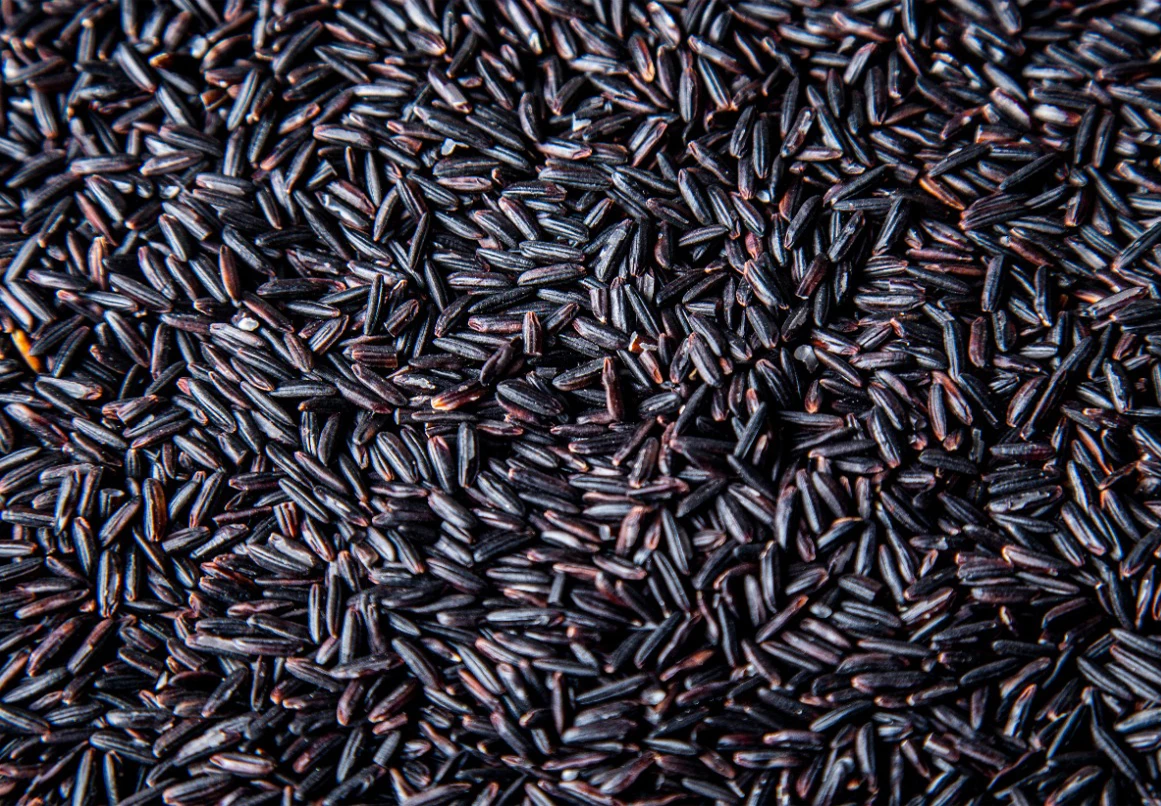 The best organic fresh staple food in LaosNutritious Laos premium black glutinous rice  at low prices in Laos
