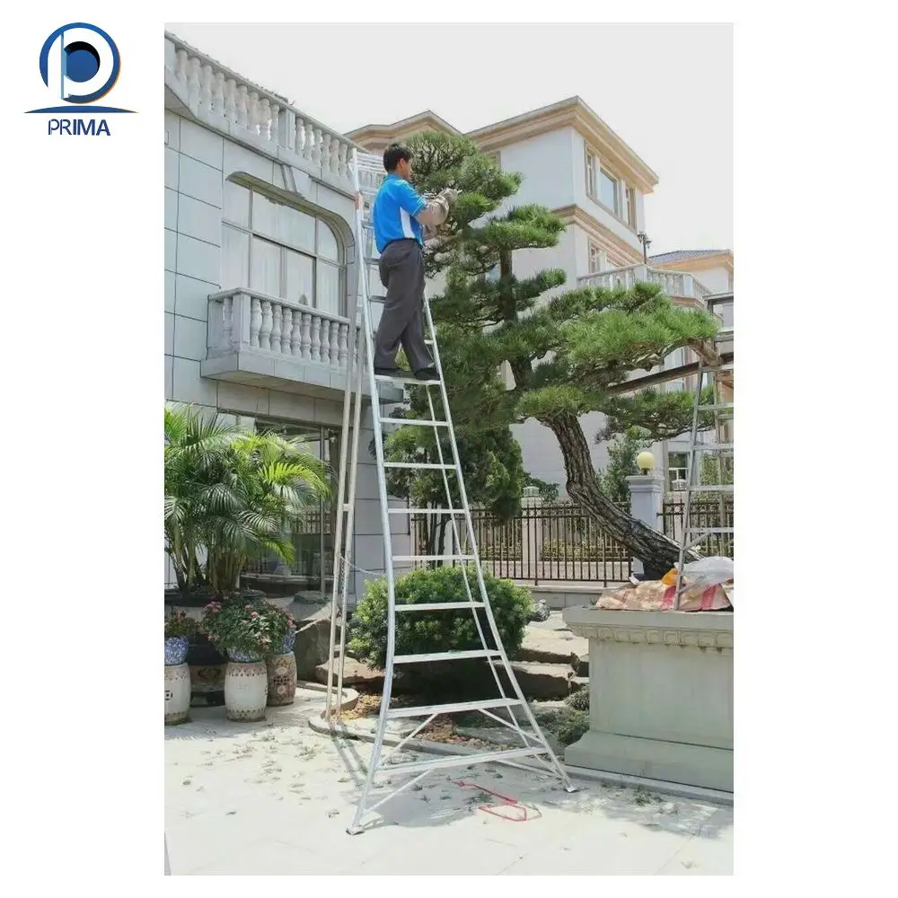 CBDMART Aluminium Ladder House Hold Ladder Aluminium Portable Ladder for Indoor and Outdoor Use