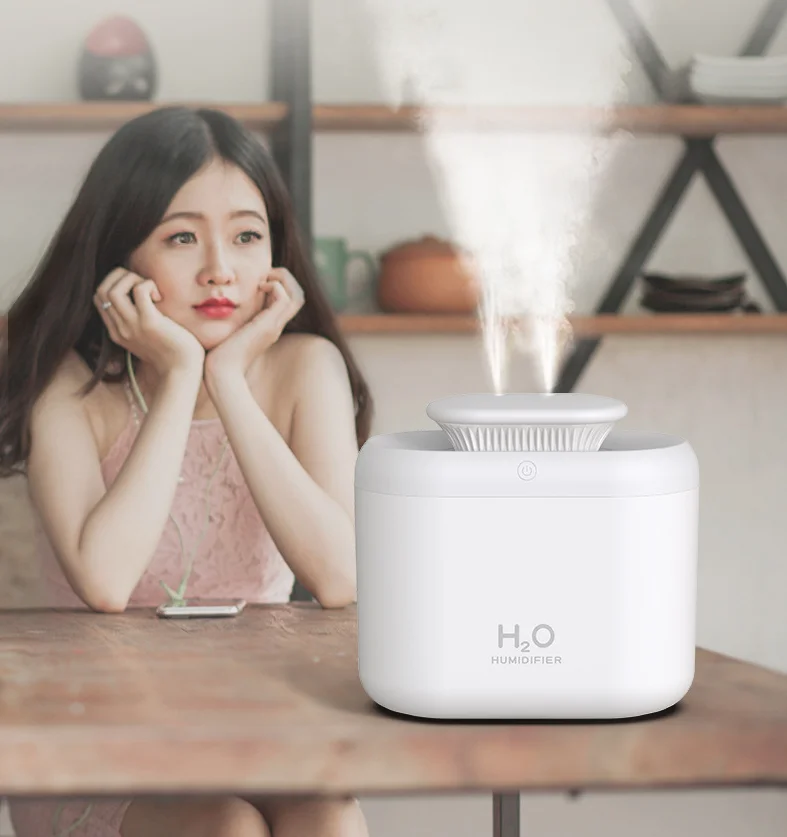 3L Double Nozzle Air Humidifier Cool Mist Aroma Essential Oil Diffuser Ultrasonic USB Air Humidifier With Coloful LED light