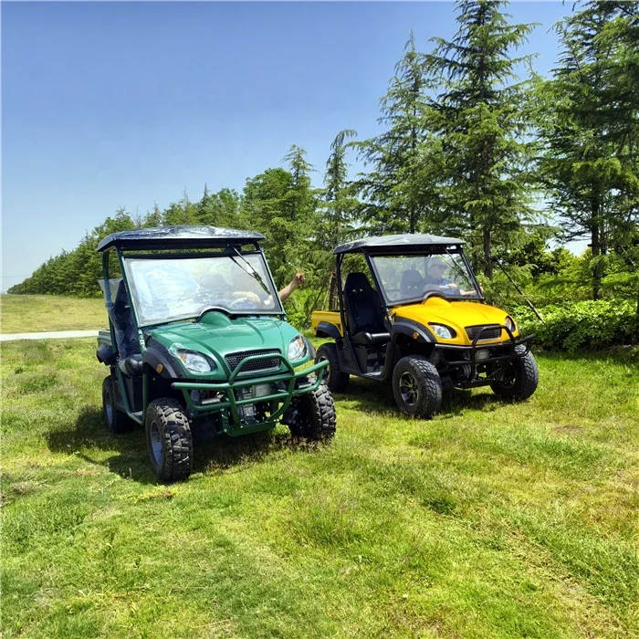 Super Cool  4x4 UTV Off-road Chinese Dune Buggy Adult Off-road Kart