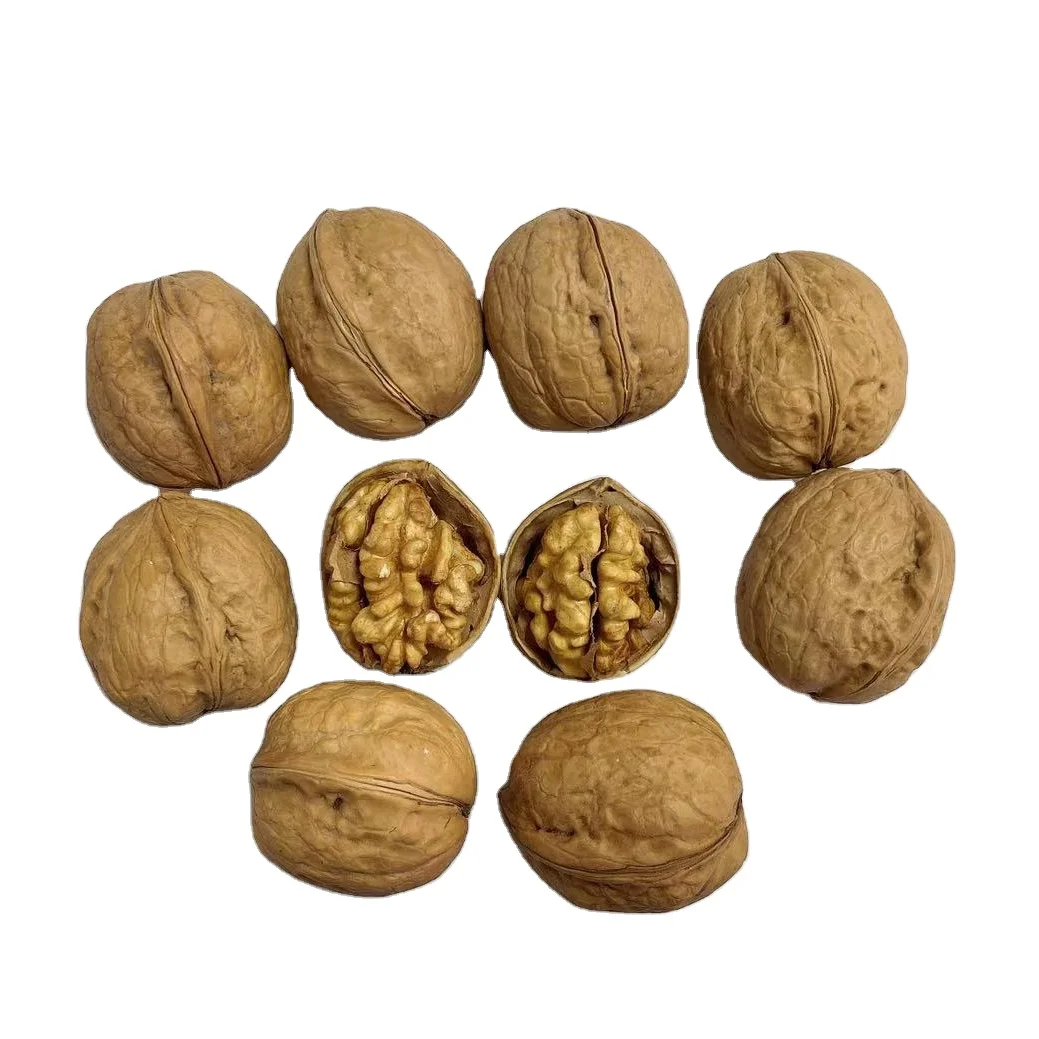 Factory Direct Sales Best Quality Green Walnut Wholesale For Export Sale