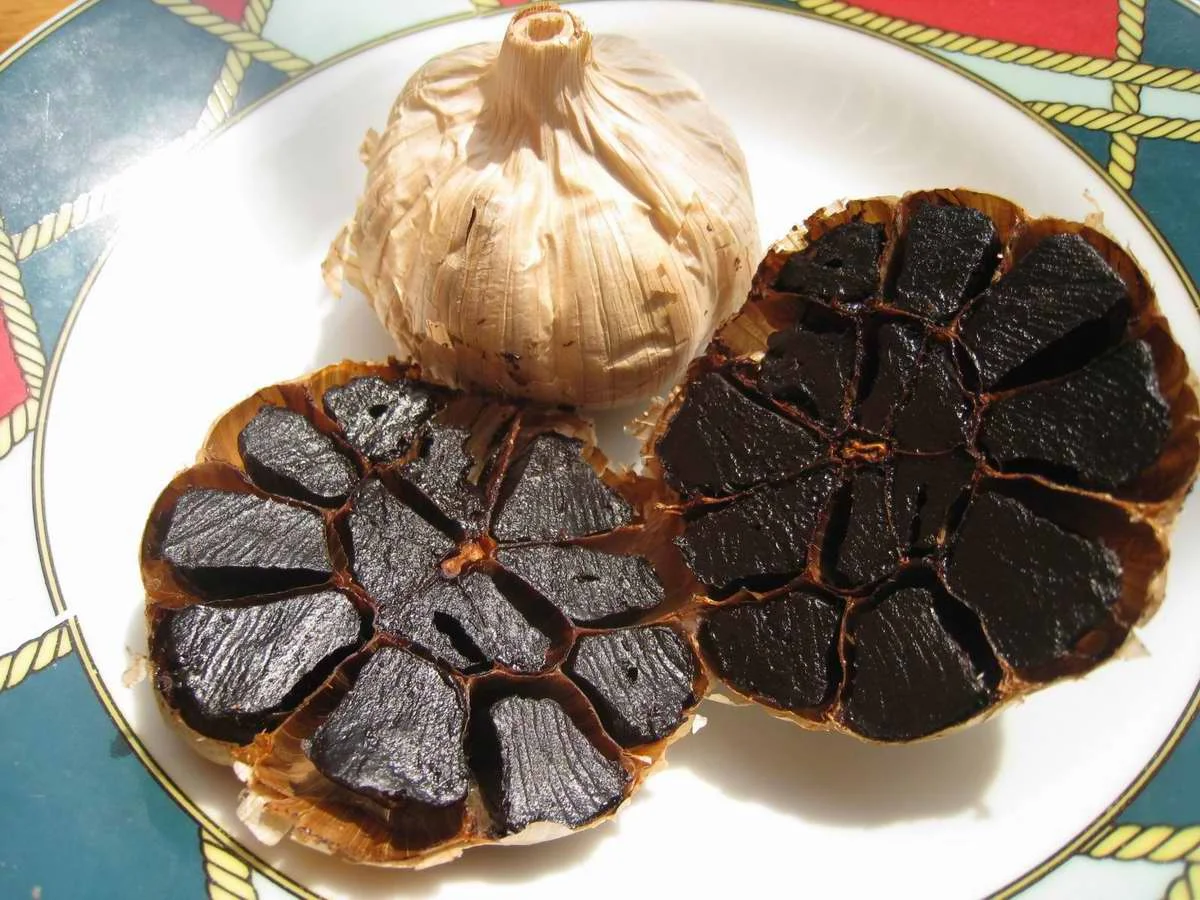 Professional Manufacturer S-allyl cysteine (SAC) 0.1%0.2% Black Garlic Extract Powder