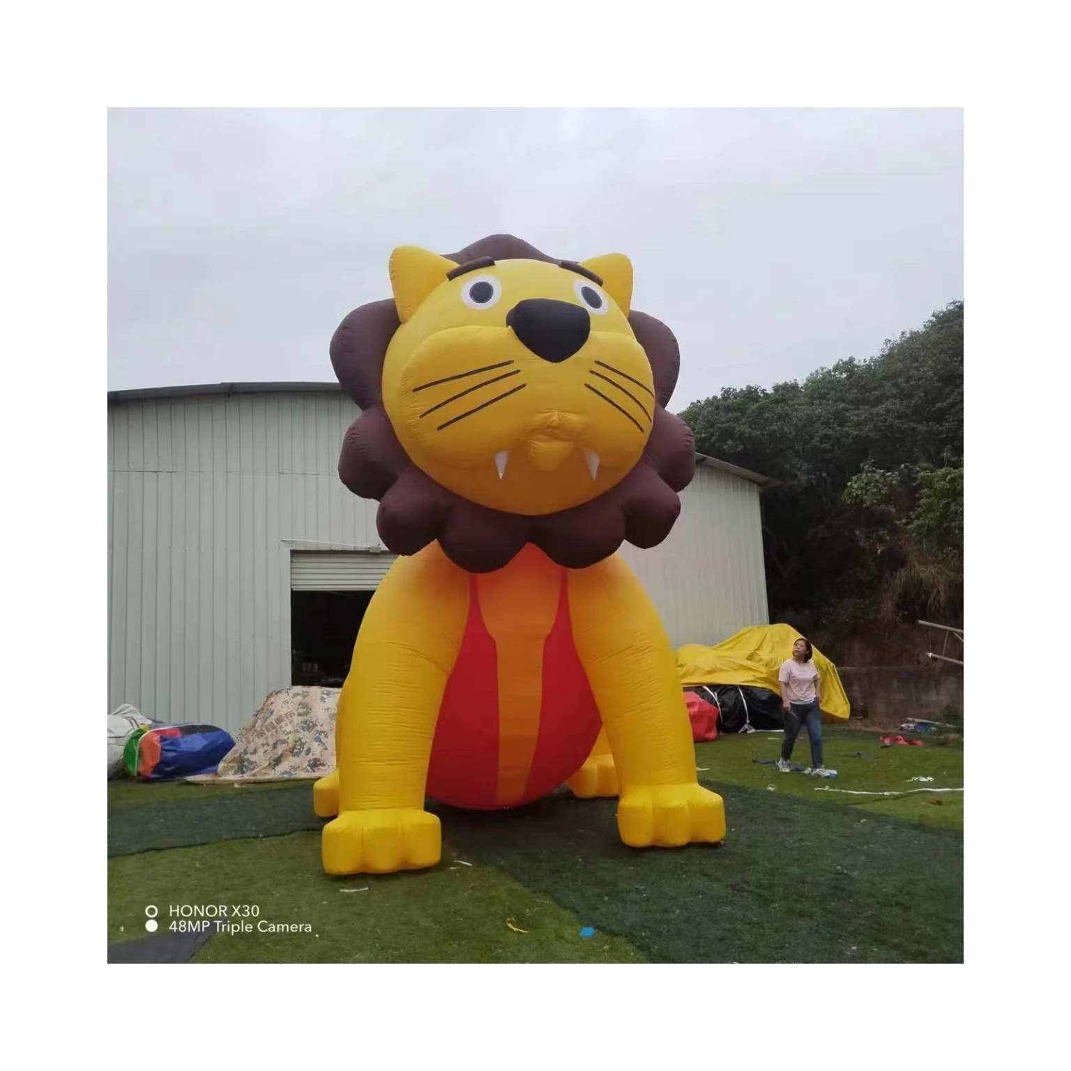 Customized design giant Advertising Inflatable cartoon animal lion model  inflatable lion