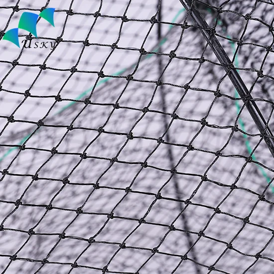 Fishing Crab Traps Fish Minnow Crawfish Trap Cage Collapsible Lobster Shrimp Pot with 4 Twine Ropes for Outdoor Fishing Net Trap