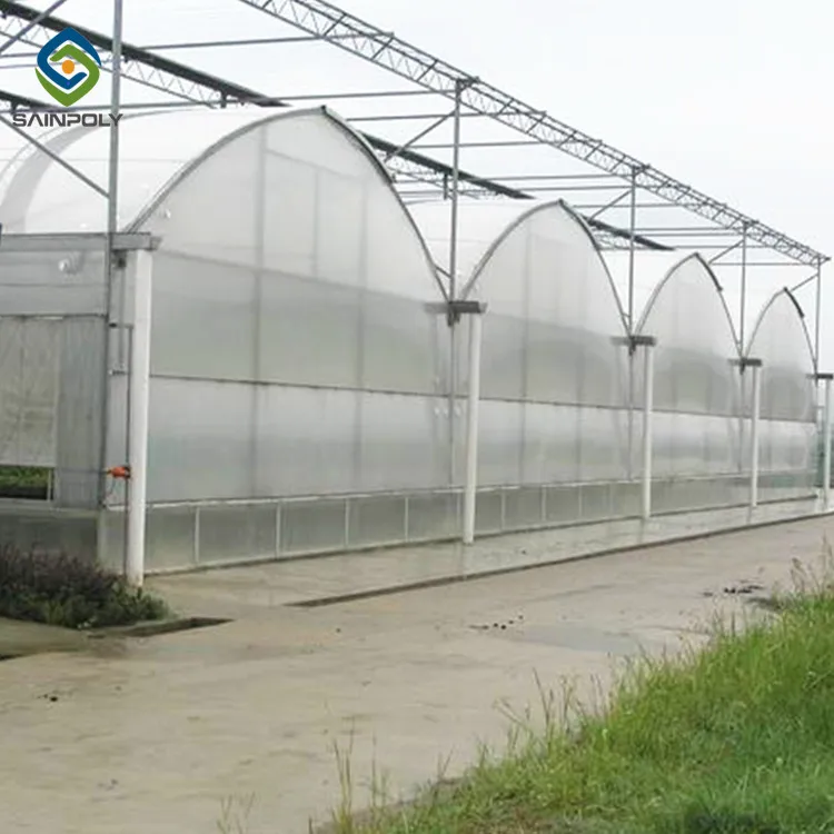 Agricultural equipment multi-span film greenhouses hydroponic growing systems greenhouse