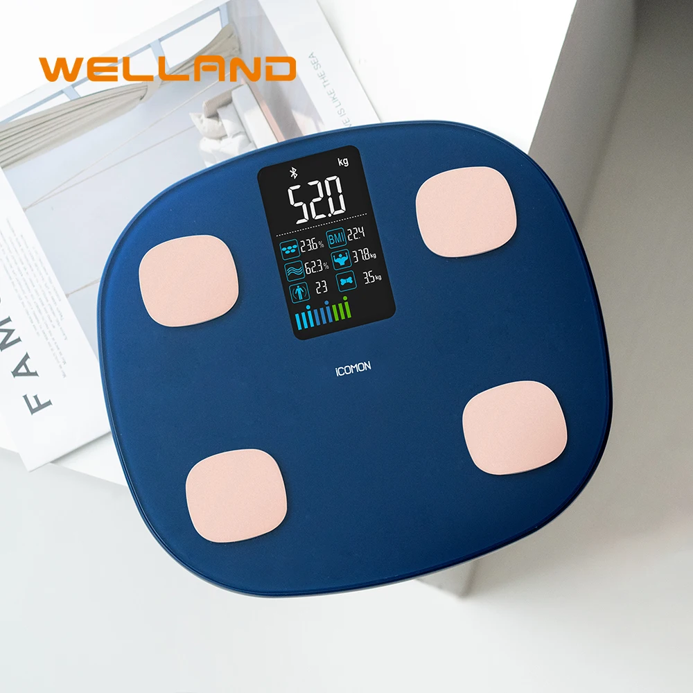 Bone Mass Body Age BMR Subcutaneous Fat Protein Bone Mass Viscera Fat Heart Rate VA Screen Scale