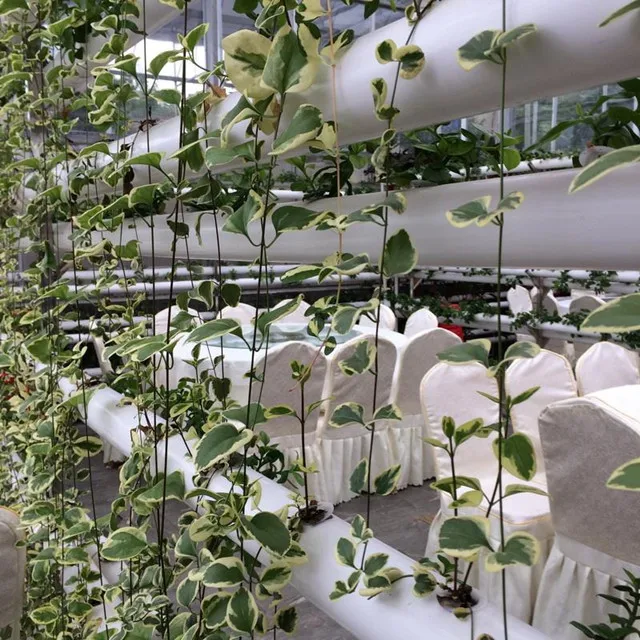 Greenhouse Indoor tower aeroponics for Planting vegetable