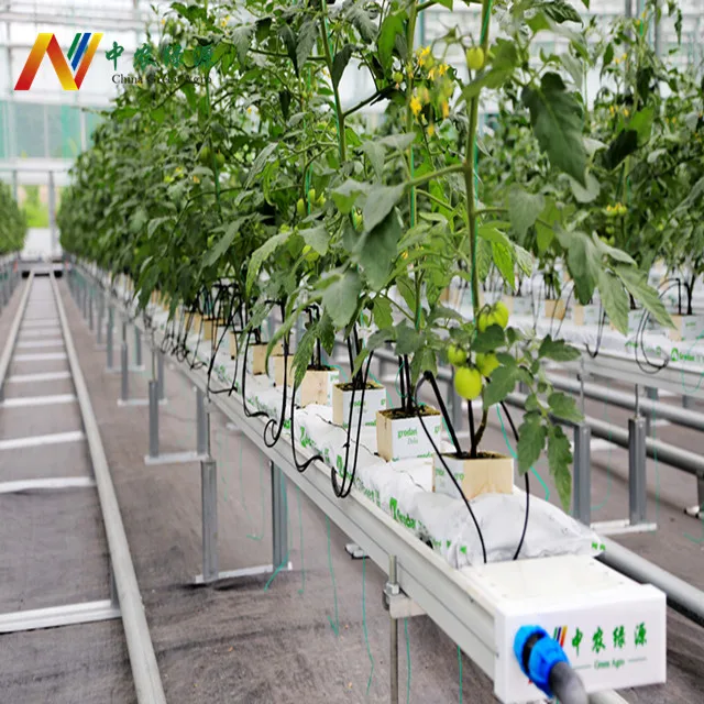 Automated hidroponic cultivation hydroponic vertical growing systems