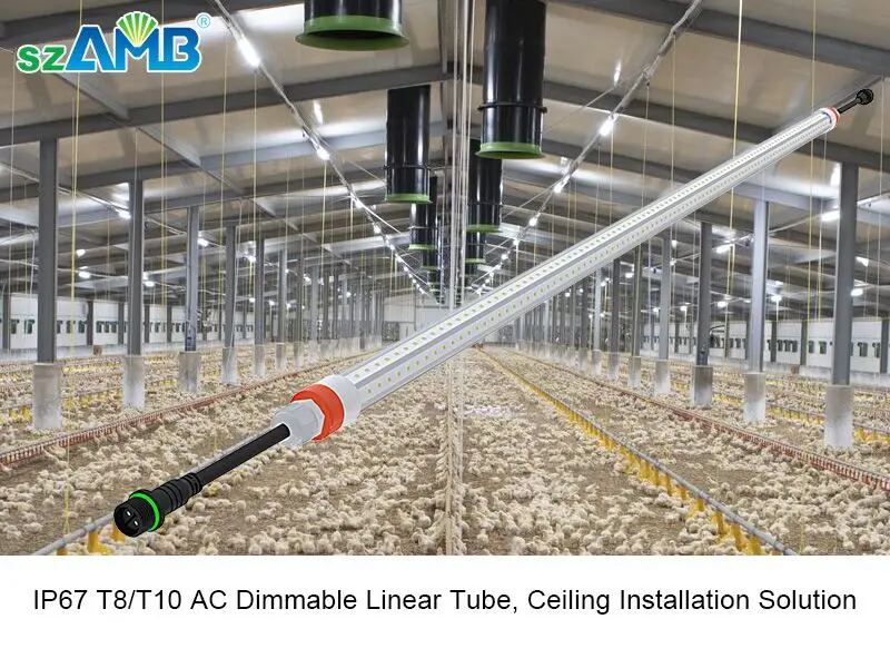 T8 Tube