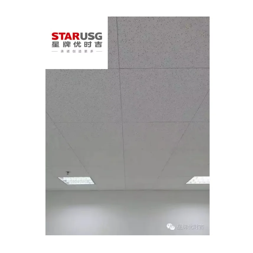 Плоская потолочная минеральная плитка RH95 SQ Edge 60x60 star-usg