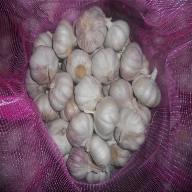 
export chinese fresh garlic 2021 /special price 