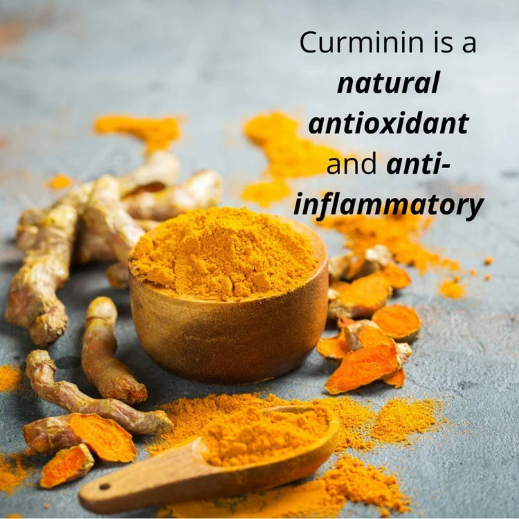 Liquid Turmeric Extract with Black Pepper & Ginger - Organic Curcumin Drops for Joint Support & Discomfort