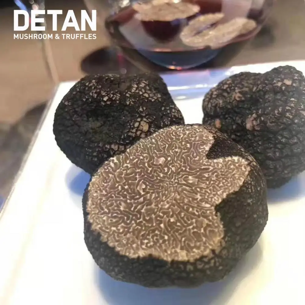 
Detan Forest Perigord Black Winter Truffle Tuber Indicium 