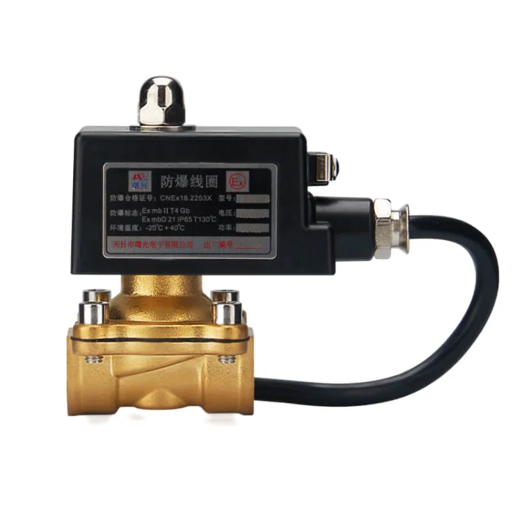Explosion Proof solenoid valve 12 volt 1/4 NPT 2 Way 2 Position 12V Pneumatic Solenoid Valve