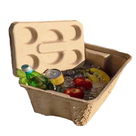 Wholesale Biodegradable Molded Paper Pulp Storage Box Picnic Packaging Boxes with Lid`