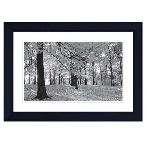 Best Western Inn Hotel Room Wall Art Used Picture Frame for Living Room Dining Bathroom Kitchen-for Sale
