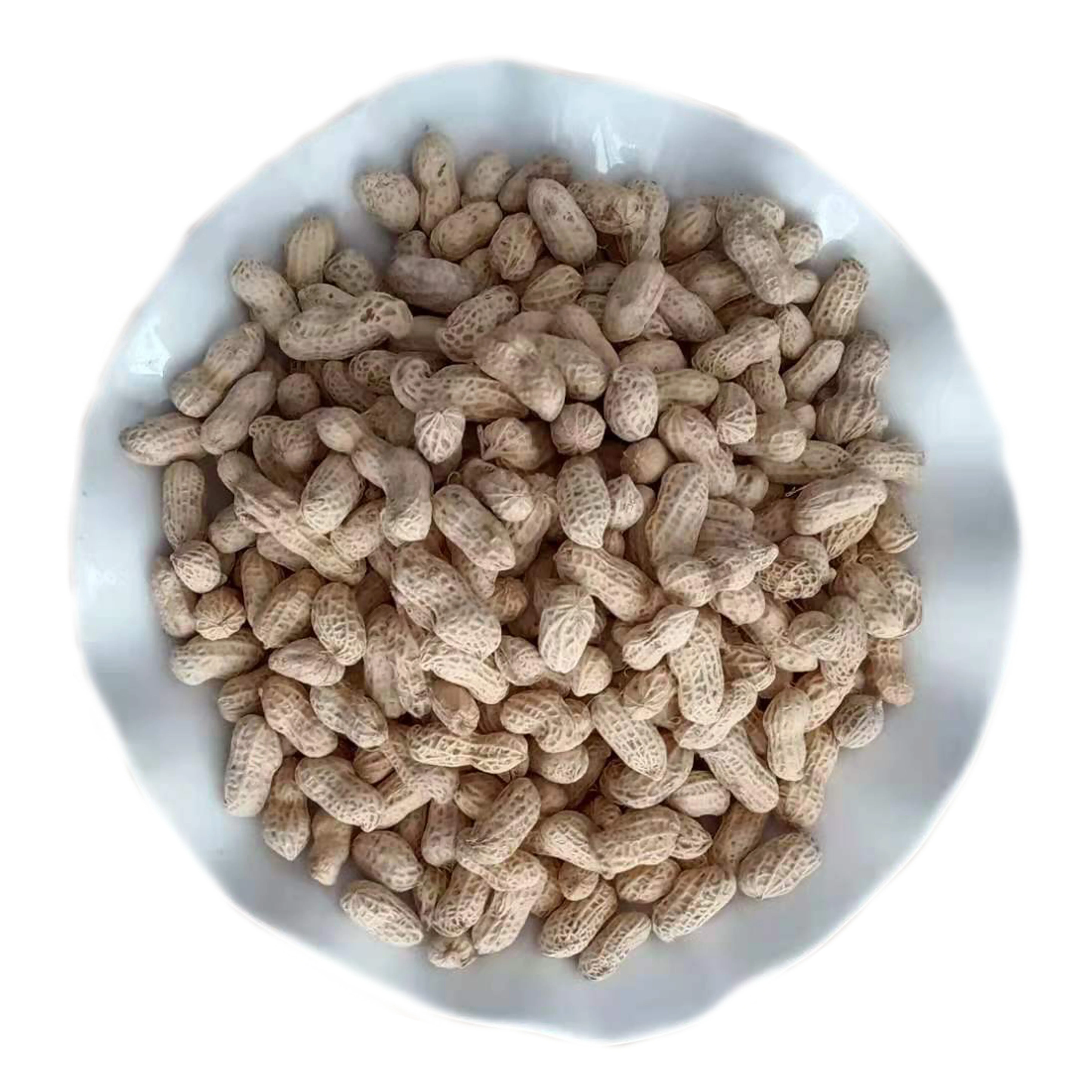 
High Quality Best Price Cool Dry Place Salty Snacks Roasted Salted Peanuts Frier 