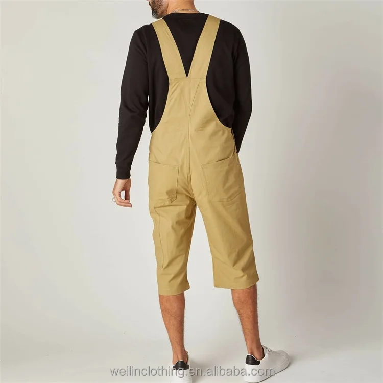 overall shorts (12)