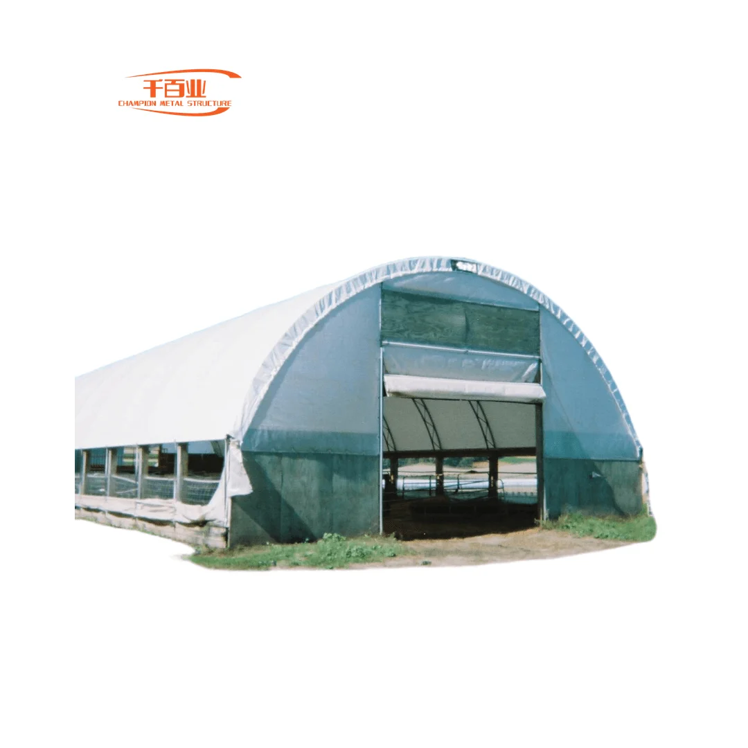 johnson county kent animal kemps creek  shelter metal garage carport kennel king kittens near me on prime for sale