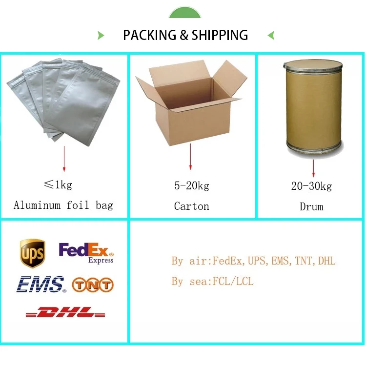 Factory Price Panax notoginseng extract, Sanchi extract, Pseudo-ginseng extract