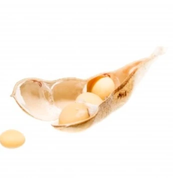 Absorbs quickly firm brightening cosmetics jar moisturizer face cream