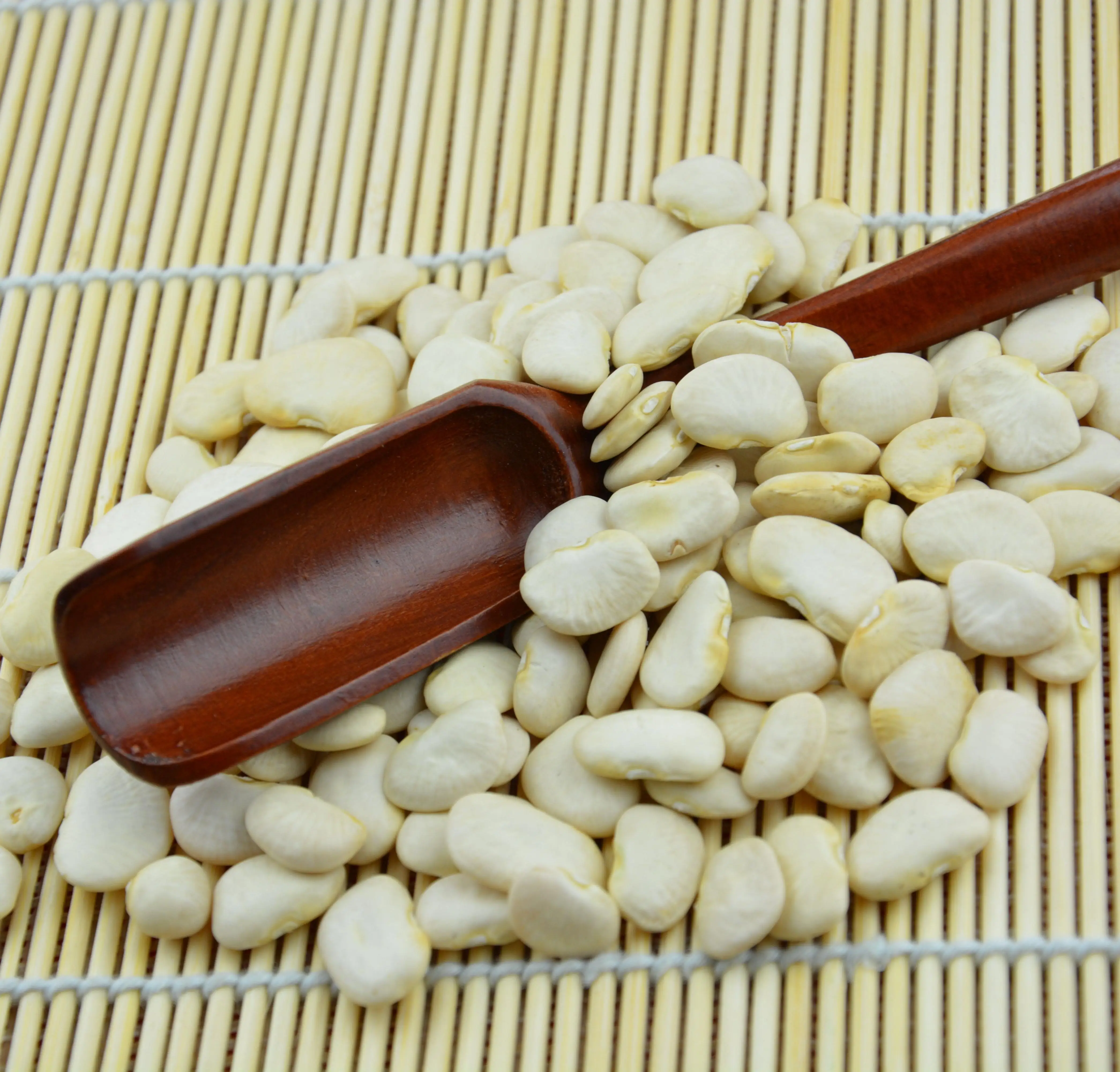 Non-Gmo Navy bean Small White Kidney Beans Organic Protein