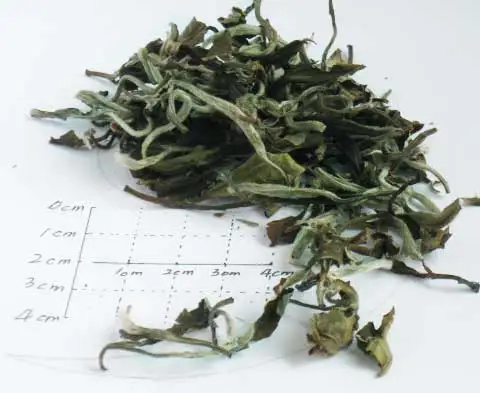 Fuding fujiang original white tea white peony bai mu dan bai cha