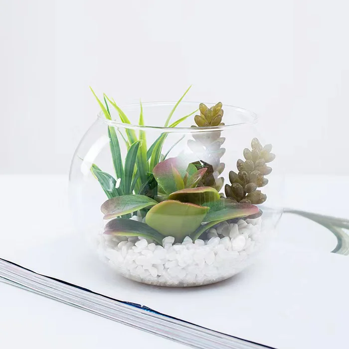 Round Clear Glass Vase - Unique Fish Tank Ball Bowl for Flower Planters, Terrariums, and Home Decor Accents