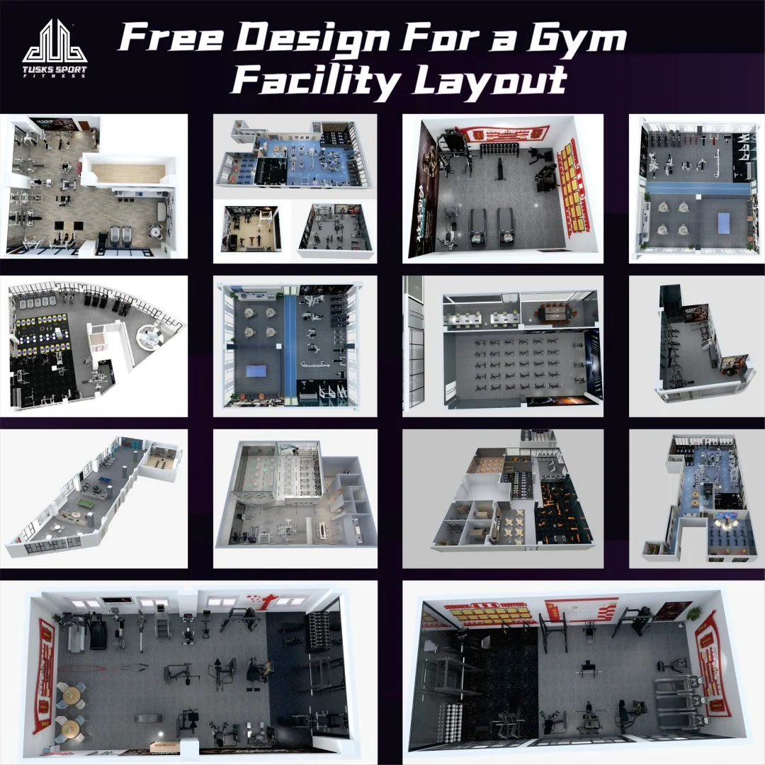 Certified Nautilus Fitness Equipment for Gym Exercise for Fitness Clubs