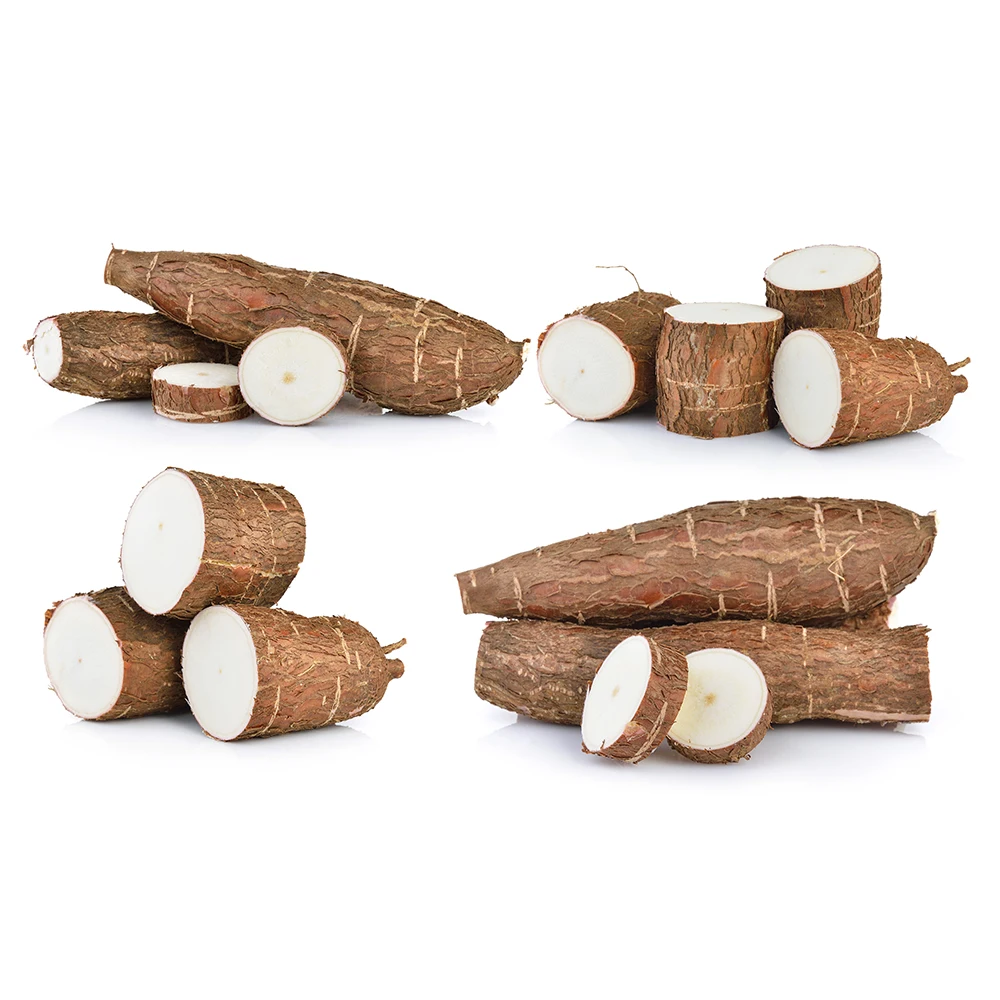 Starch material casava chips International qualify Cassava casava for Ready to ship and Fast logistic service/cassava dried