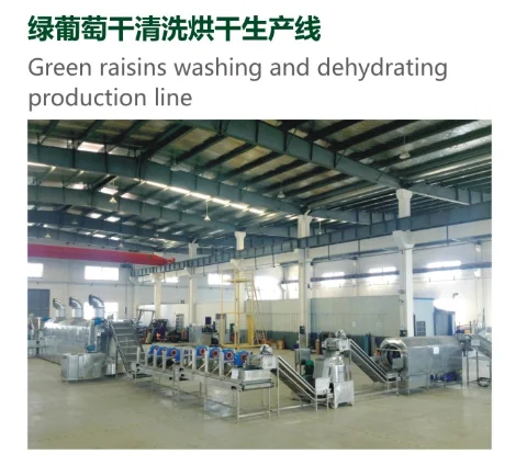 raisins production line