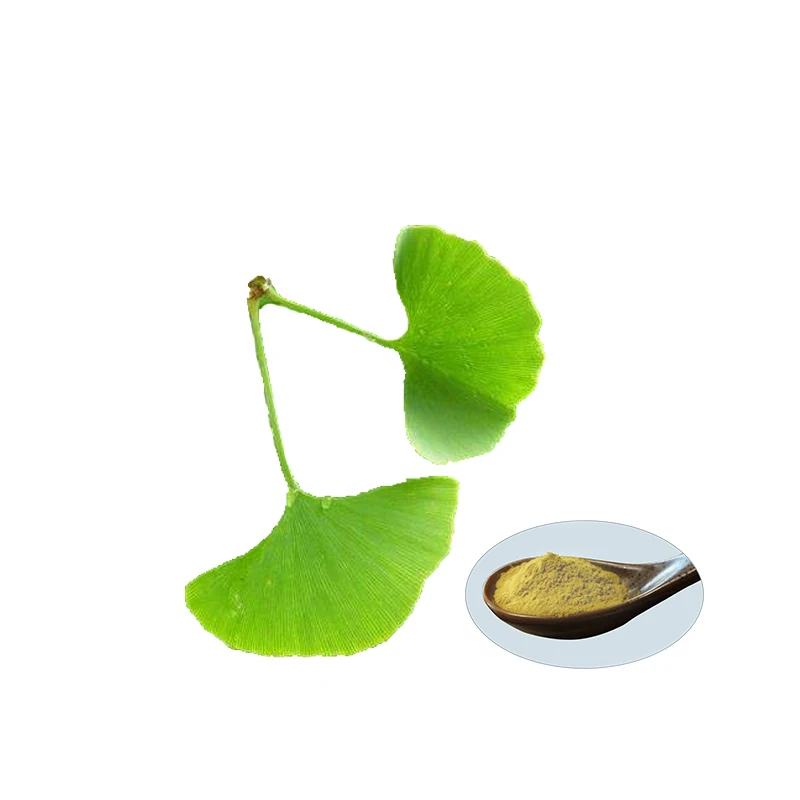 Ginkgo Biloba Extract Ginkgo Biloba Powder Leaf Extract